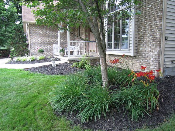 4th image of 2318 Deer Trail Ln