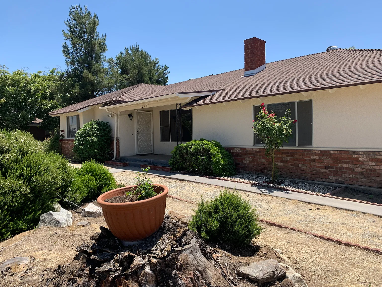 40775 Camellia Dr — Photo 2