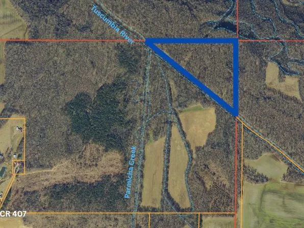 County Road 407, Corinth, MS 38834