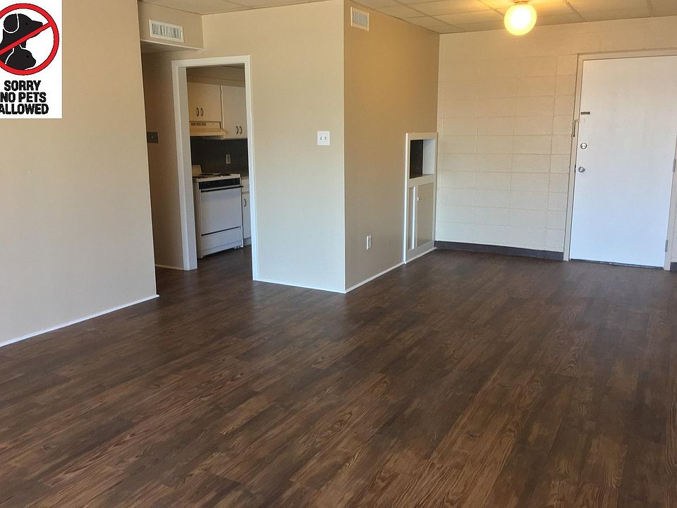 Living Room / Dining Area / Kitchen