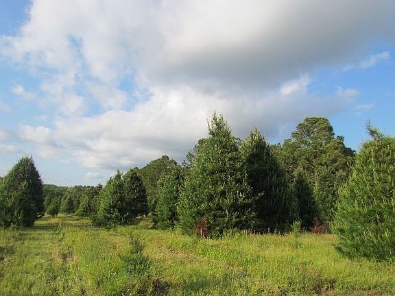 4th image of 18127 County Road 4108