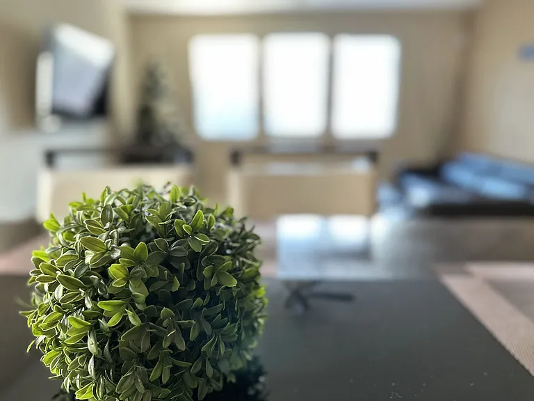 Finishing Touch Ct — Photo 12
