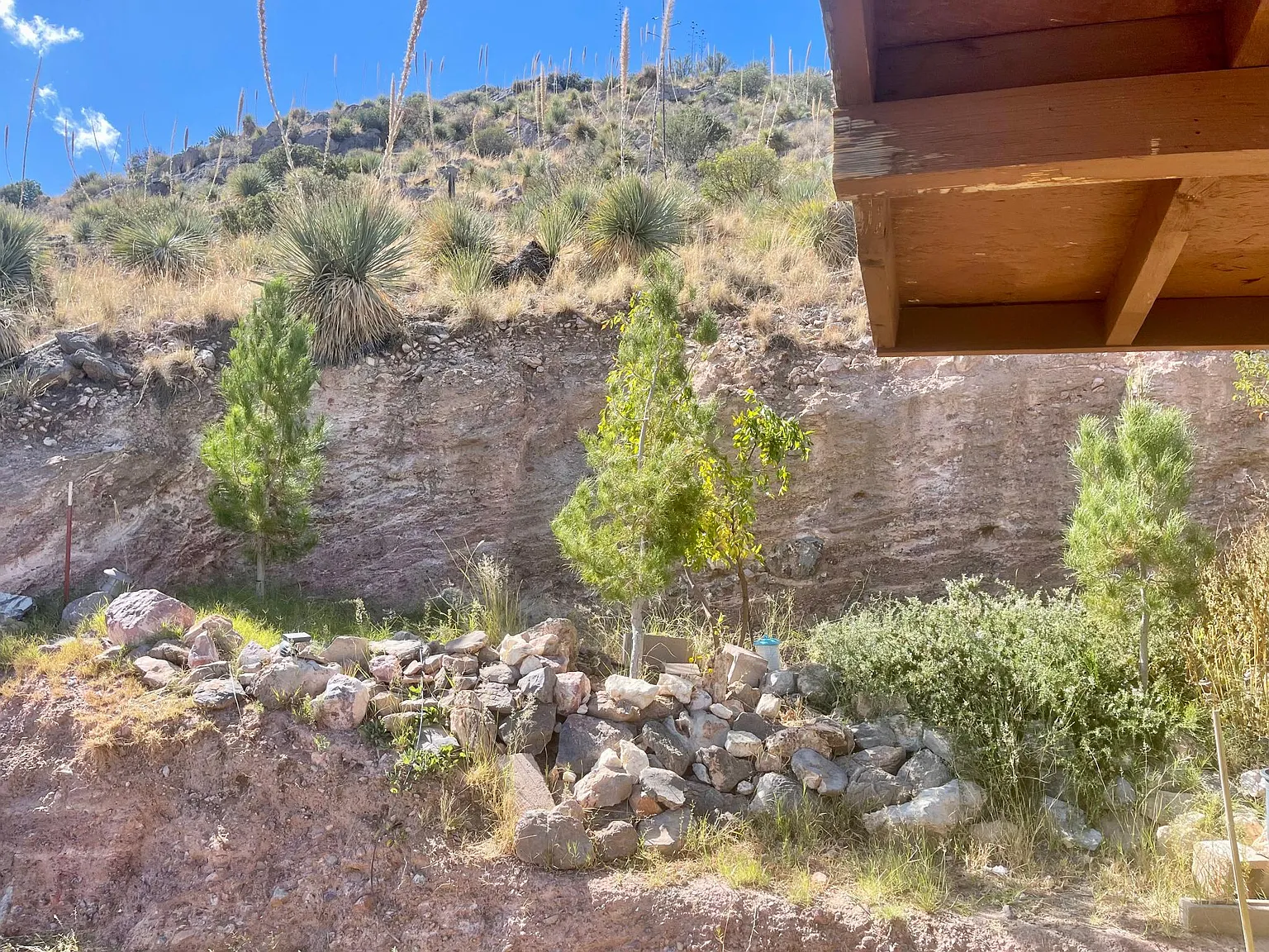 6280 S Kiefer Trl — Photo 4