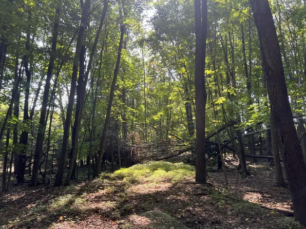 Lt0 ROCKY RIDGE LANE, Shawano, WI 54166