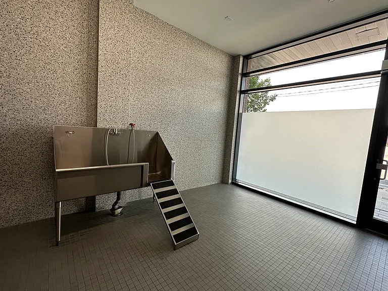 3385 Dundas St W — Photo 29