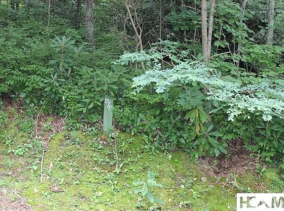 2nd image of 31 Whitewater Ridge Road