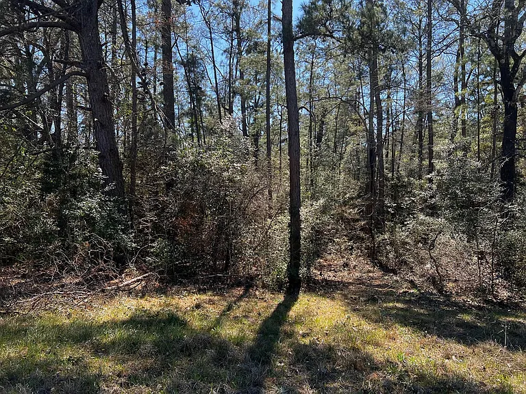2404 Highway 75 Rd — Photo 5