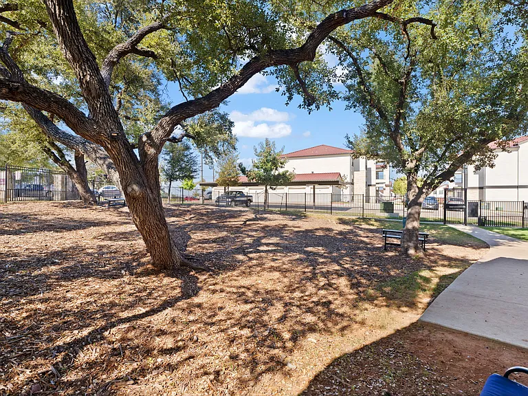 Water Oak — Photo 92