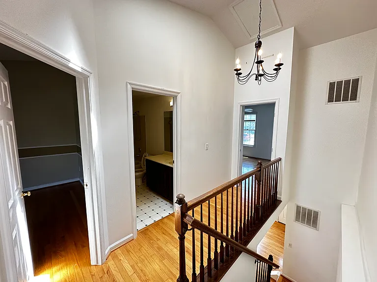 9799 Mock Orange Ct — Photo 13