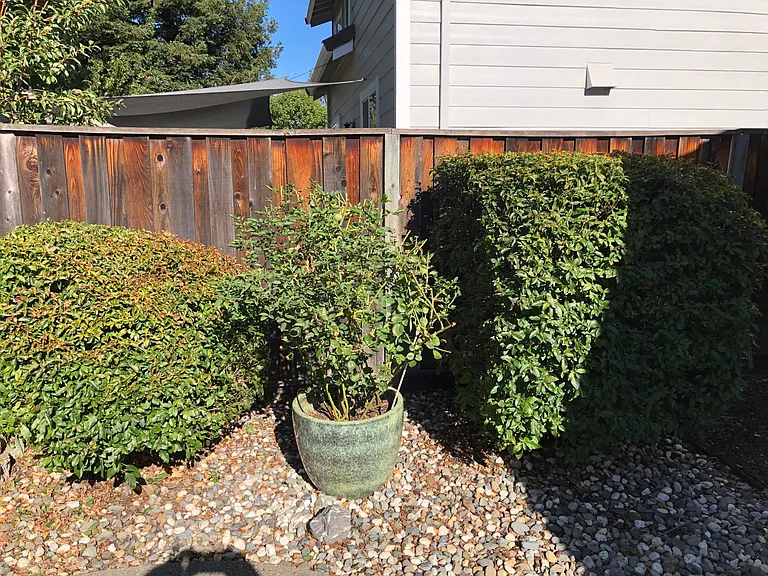 490 Briarwood Dr — Photo 20