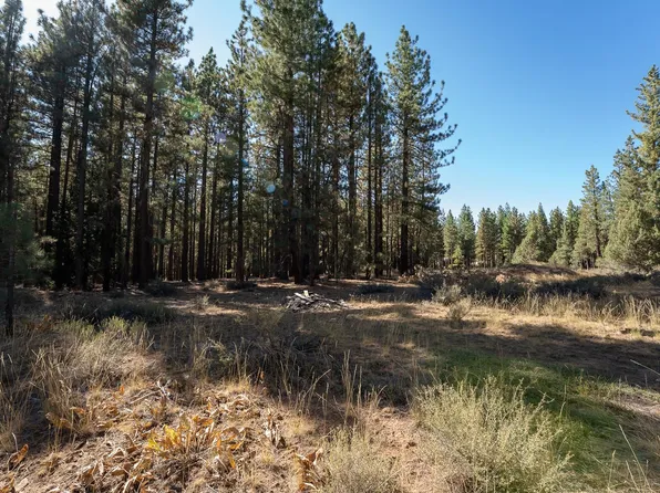 149 Bear Way, Portola, CA 96122