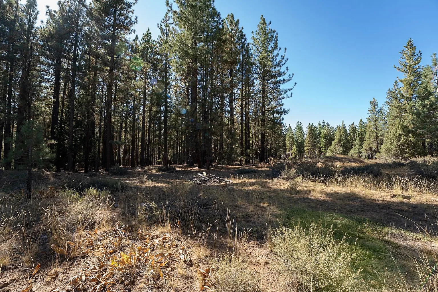 149 Bear Way photo 1