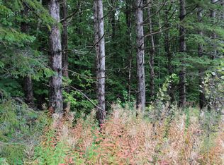 LOT 96.5 New Sweden Rd, New Sweden, ME 04762