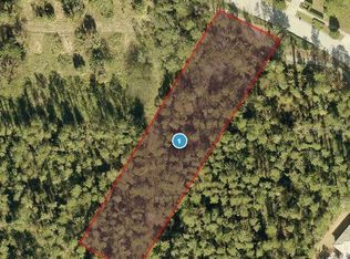 15544 Pendio Dr LOT 65, Montverde, FL 34756