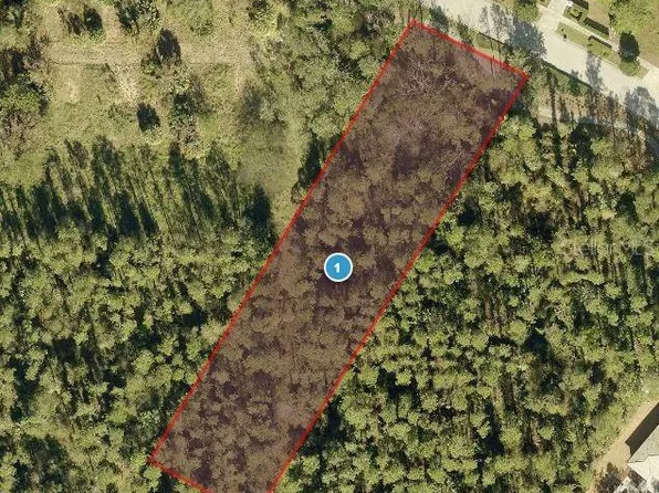 15544 Pendio Dr Lot 65, Montverde, FL 34756