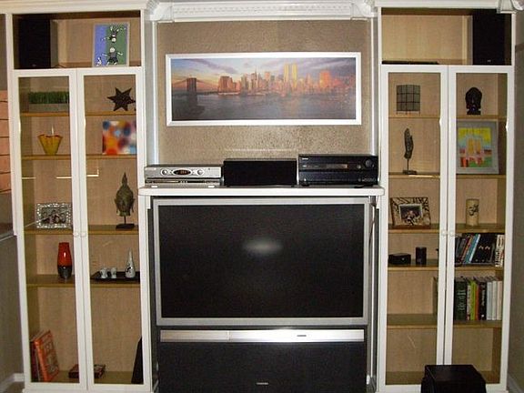Built in book cases and entertainment
