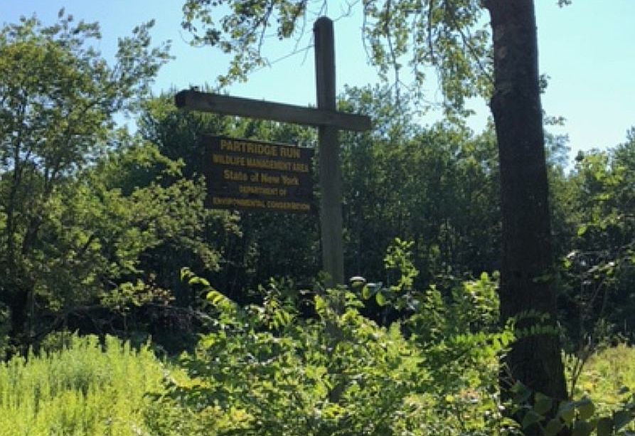 SGL Partridge Run SGL 