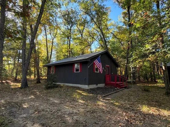 9847 S Orchid Ave, Baldwin, MI 49304