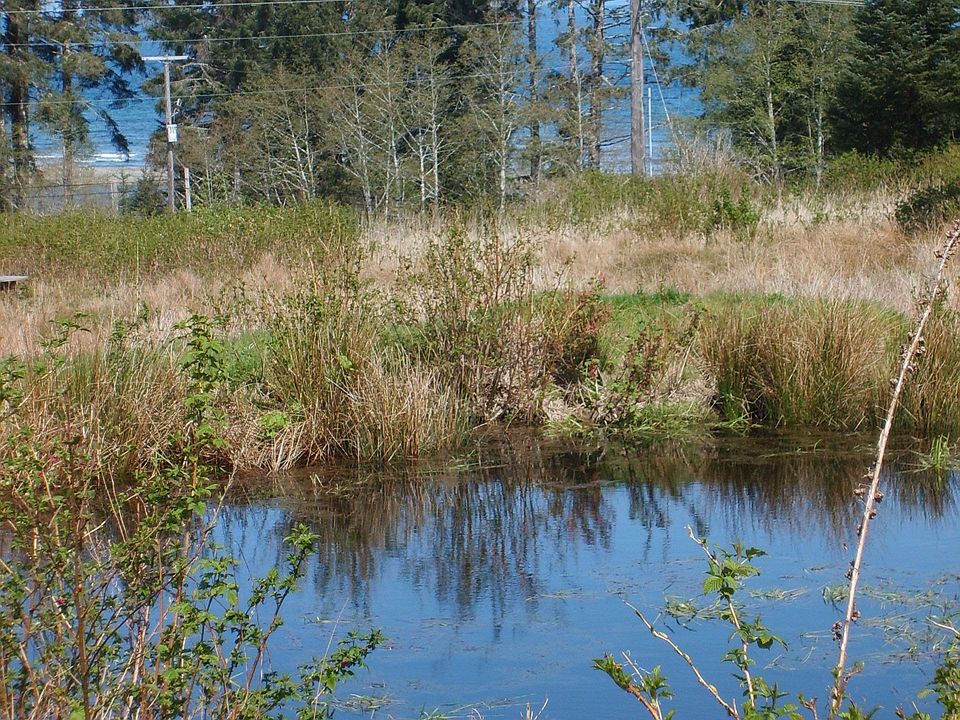 1 of 2 ponds on the Property