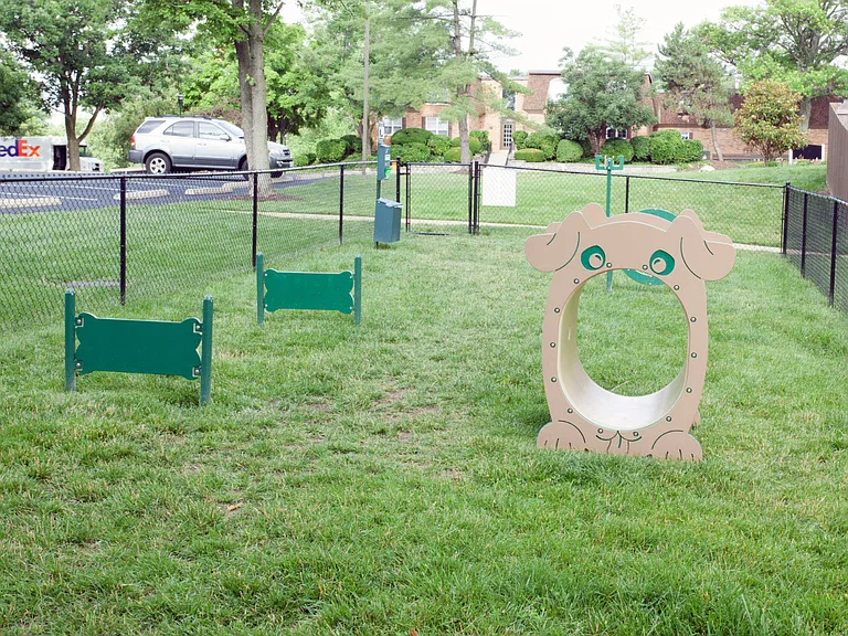 Madison Rockwood — Photo 32