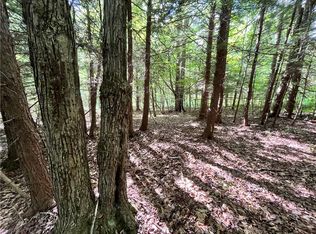 Lo1 2 Greenbush Rd #2, Erin, NY 14838