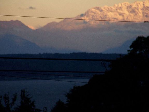...and the Puget Sound too!