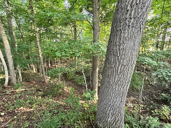 5th image of 4877 E County Road 1325 N