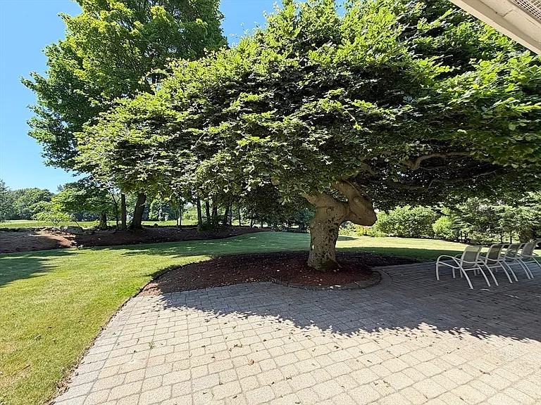 37 Stephen Pl — Photo 37