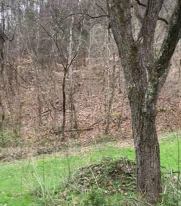 2nd image of Moon Hollow Rd