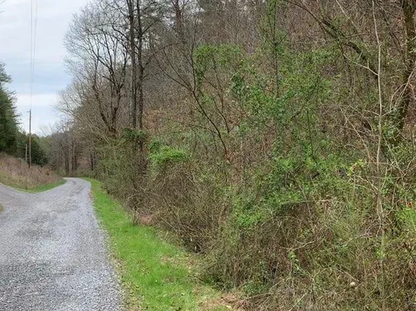 Moon Hollow Rd, Sevierville, TN 37876