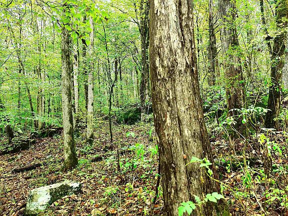 5th image of 37 County Road 54