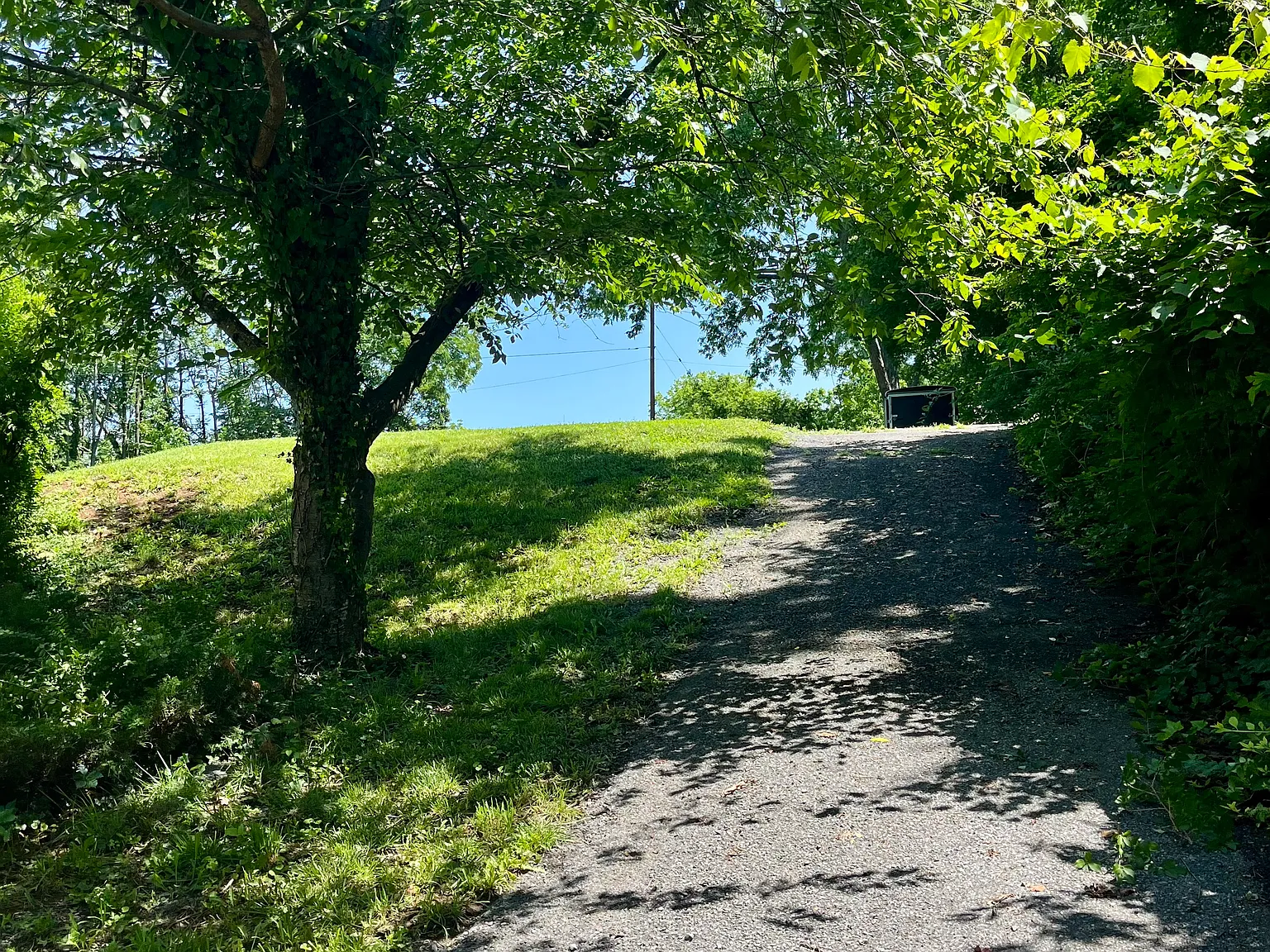 2 bed, 1200 sqft, $1,650 — Photo 3