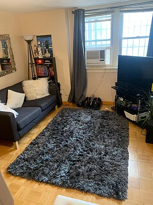 Rented by Platt New York | media 6