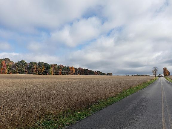 2nd image of Palestine Rd