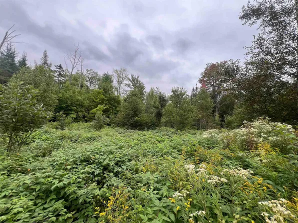0 Red Schoolhouse Road, Wheelock, VT 05851