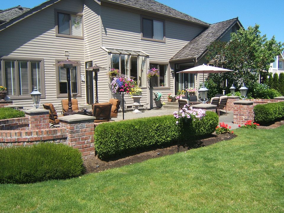Back of home (summer)