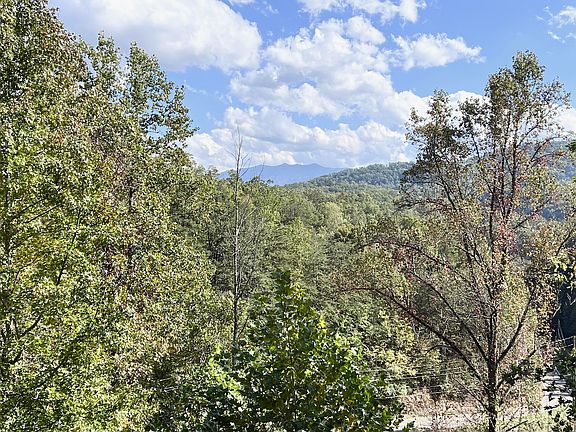 5th image of 4319 Forest Ridge Way