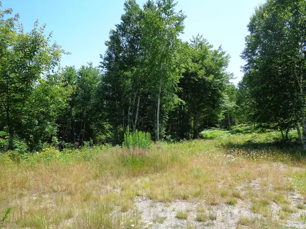 Lot 16 Bailey Mountain Road, Franklin, ME 04634