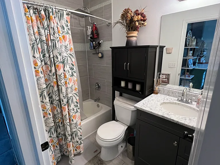 Lower Bathroom off Living Room