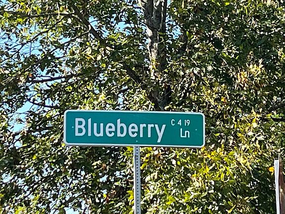 5th image of 111 Blueberry Ln