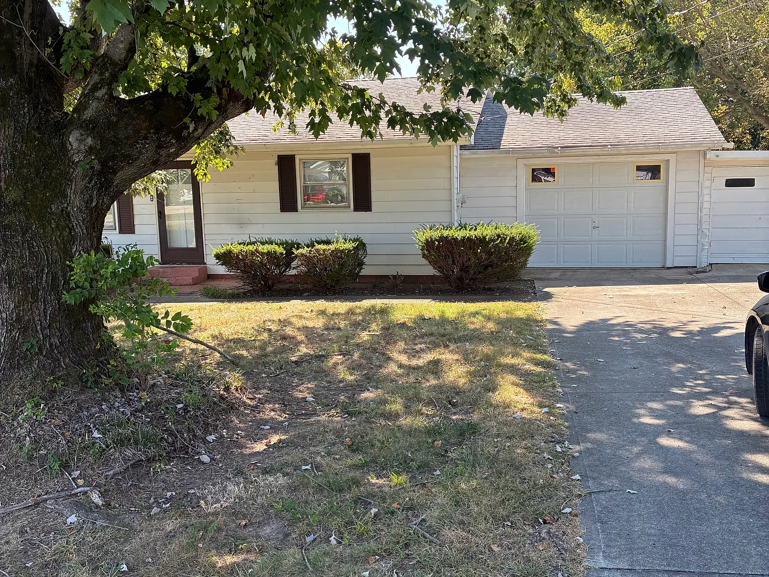 2 bed, 925 sqft, $950 — Photo 2