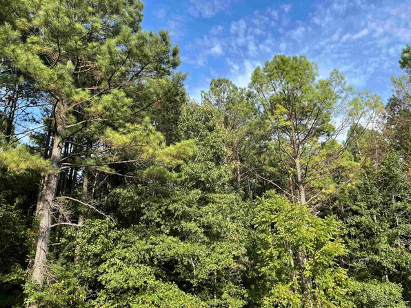 0 S Bills Rd, Murfreesboro, AR 71958
