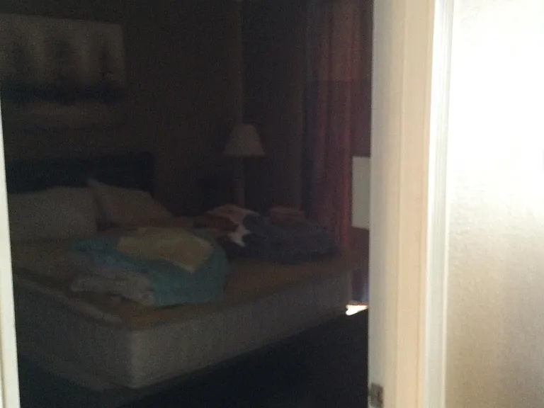 220 E Flamingo Rd #312 — Photo 12