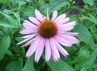 835 N Trooper Rd, Eagleville, PA 19403