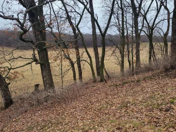 Lot 3 Tower Line Road #3, Marshall, WI 53559