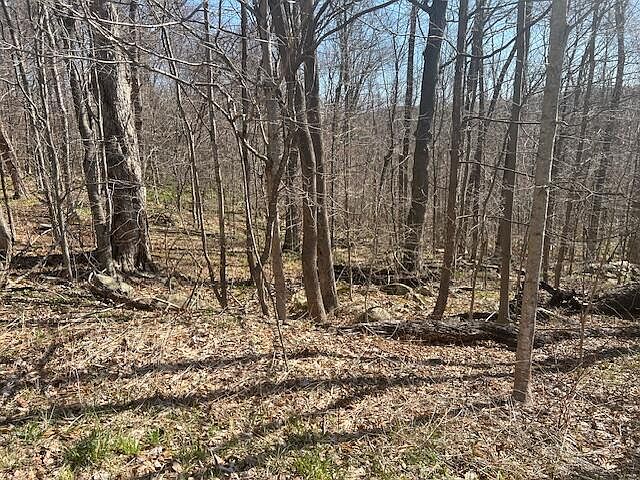 2nd image of Maple Grove Rd