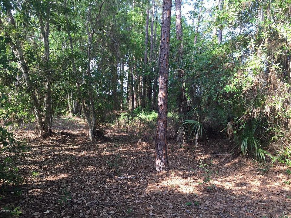2nd image of 22901 NE 114th Ave