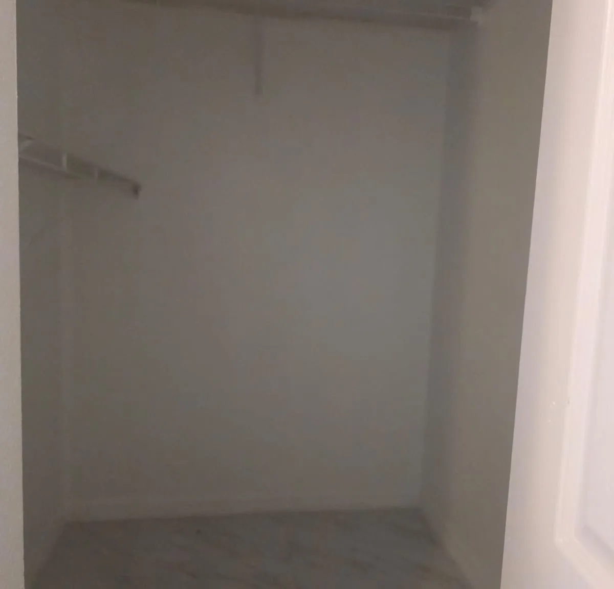 1 bed, $1,300 — Photo 2