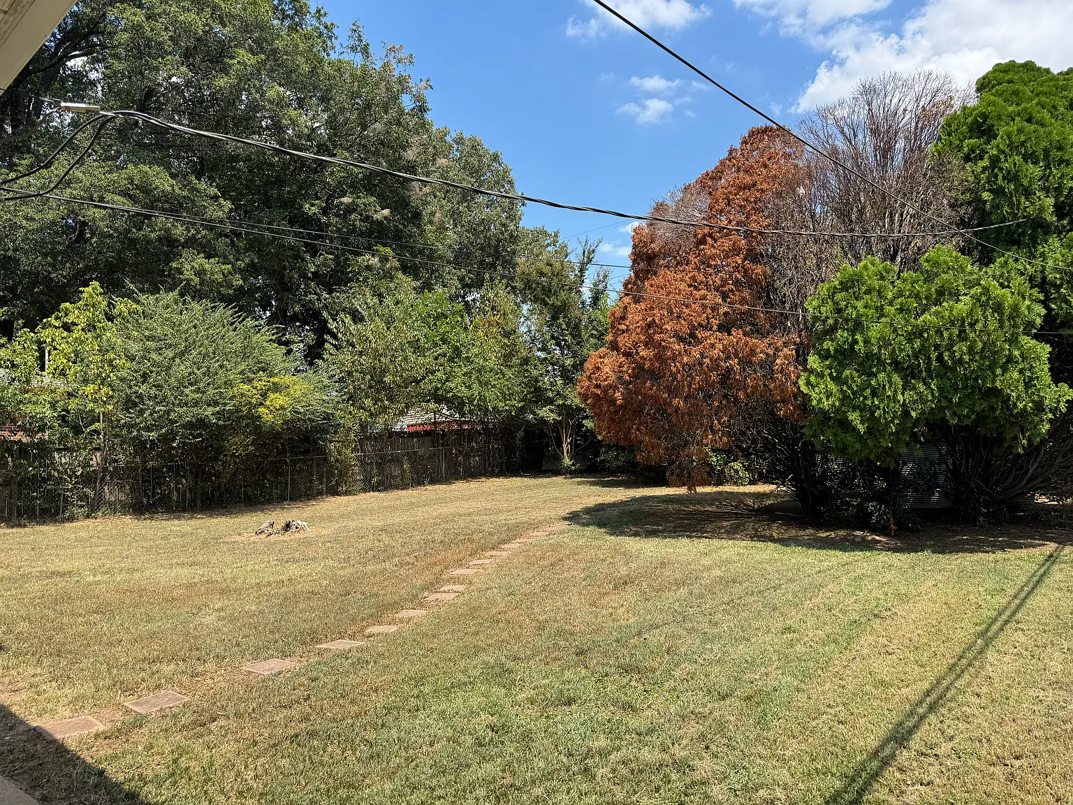 3 bed, 1000 sqft, $1,350 — Photo 2