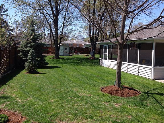 Back yard